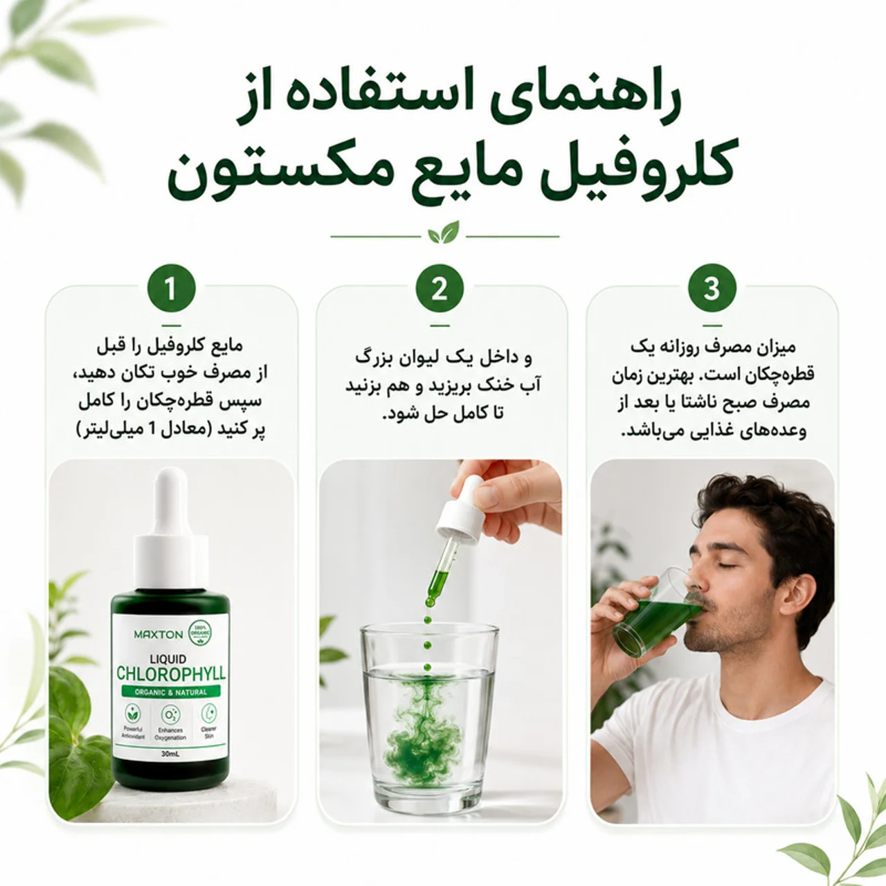 کلروفیل مایع مکستون مدل Organic حجم 30 میلی لیتر 102947507