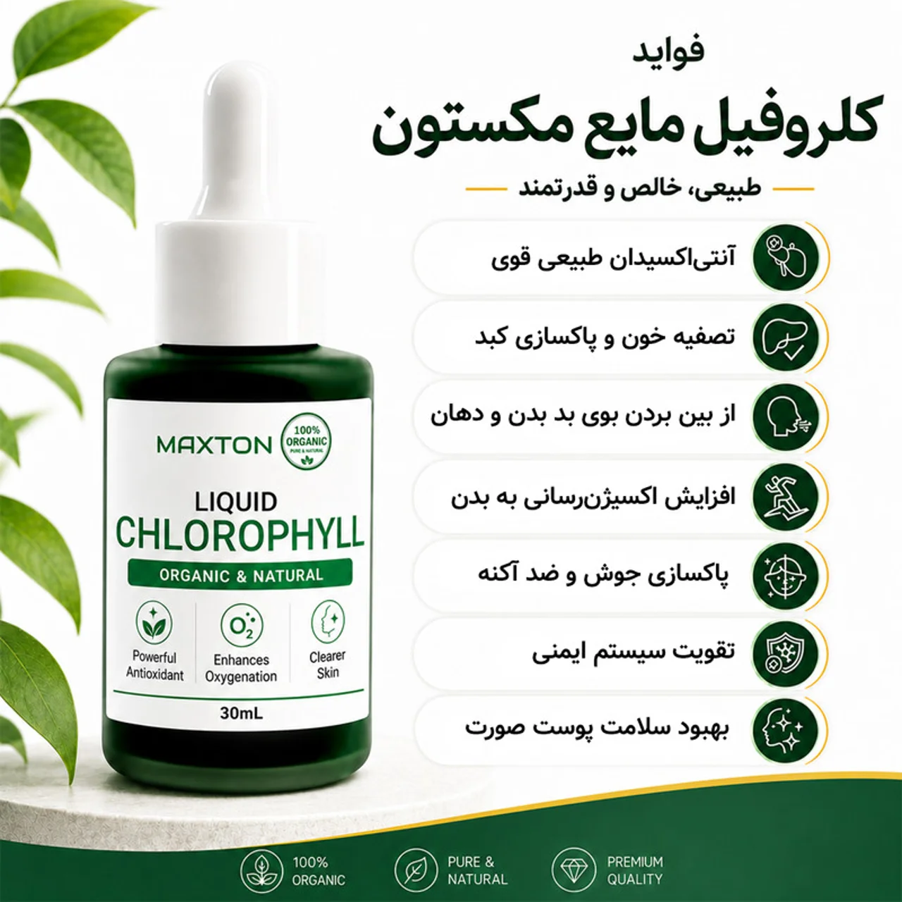 کلروفیل مایع مکستون مدل Organic حجم 30 میلی لیتر 102947505