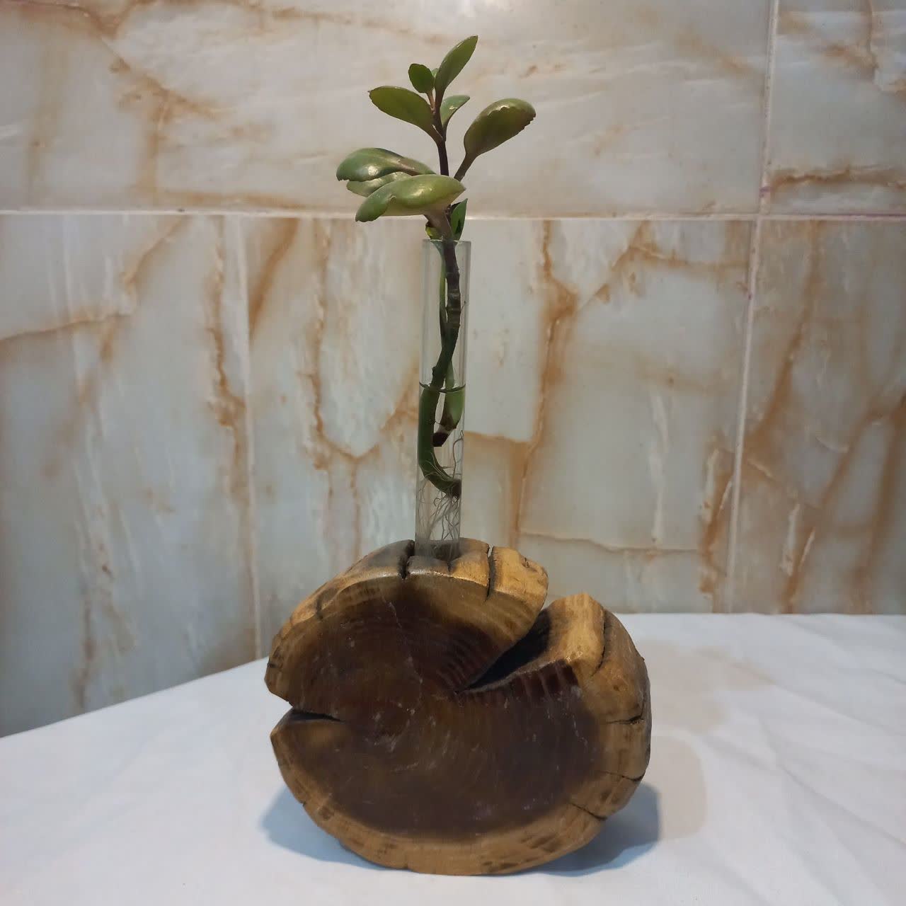 گلدان چوبی