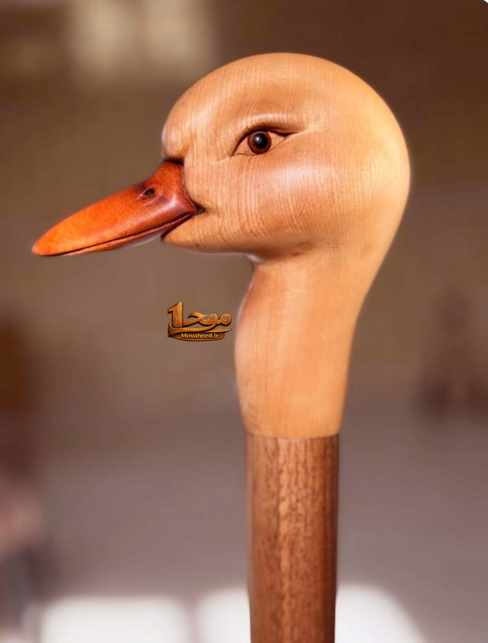عصا اردک
