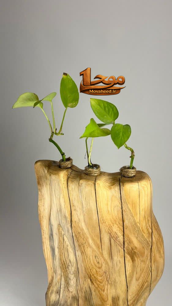 گلدان چوبی